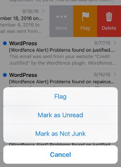 Screenshot of iPhone mail not junk screen